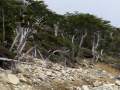 Rough trail. (Torres Del Paine)